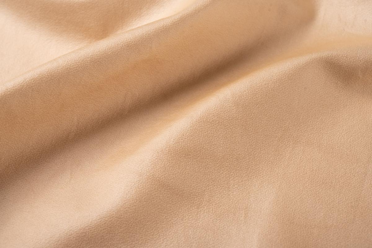 JAPAN TEXTILE CONTEST 2021 最終結果（上位賞）