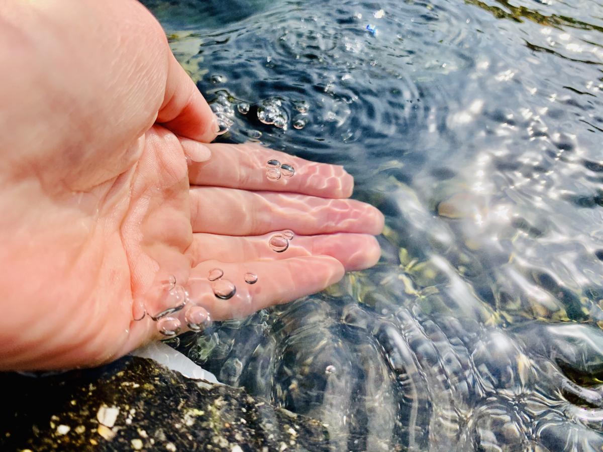水の都（大垣市）の湧き水を利用